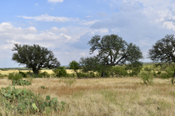 303 County Road 465 (28)