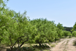 8228 US Hwy 377 (36)
