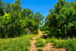 8228 US Hwy 377 (33)
