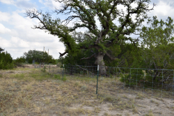 303 County Road 465 (30)
