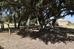 159 Private Road 939 (30)