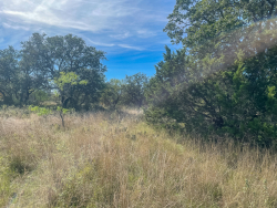 Lot 33A Live Oak Hills (2)