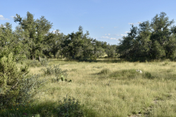 Cave Wells Ranch Tract 1 (2)