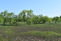 FM 765 (2)