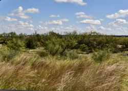 159 Private Road 939 (4)