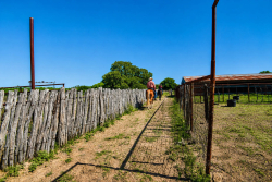 8228 US Hwy 377 (37)