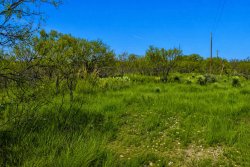 20 Acres Off CR 144 Melvin (2)