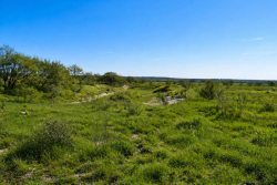 20 Acres Off CR 144 Melvin (3)