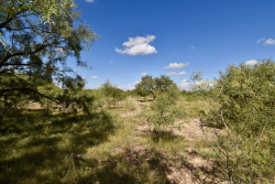 159 Private Road 939 (36)