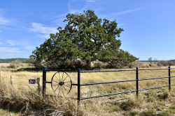 19319 Ranch Road 1871 (32)