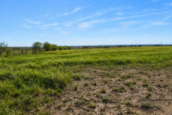 20 Acres Off CR 144 Melvin (5)