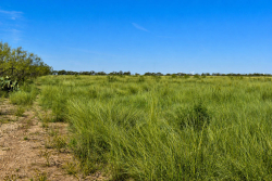 20 Acres Off CR 144 Melvin (6)