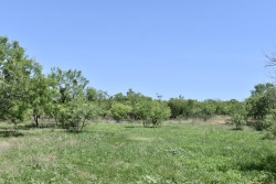 8228 US Hwy 377 (52)