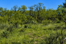 20 Acres Off CR 144 Melvin (7)