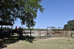 8228 US Hwy 377 (53)