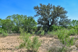 1025 E. FM 765 (21)