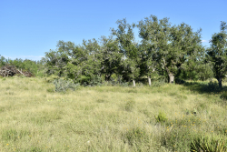 Cave Wells Ranch Tract 1 (4)