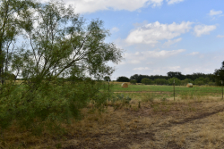 303 County Road 465 (5)