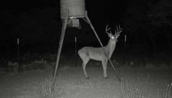 129 Big Buck Run Road (3)