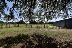 8228 US Hwy 377 (59)
