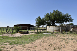 8228 US Hwy 377 (61)