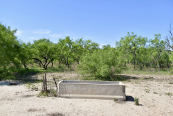 8228 US Hwy 377 (65)