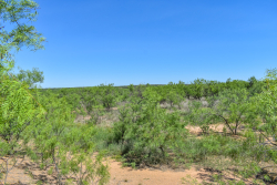1025 E. FM 765 (22)