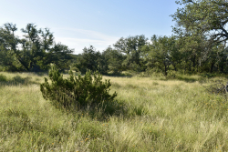 Cave Wells Ranch Tract 1 (5)
