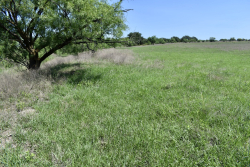 8228 US Hwy 377 (7)