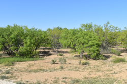FM 765 (4)