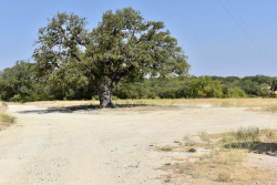 303 County Road 465 (6)