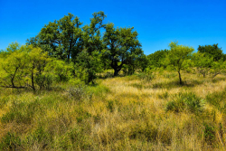 129 Big Buck Run Road (5)