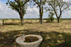 303 County Road 465 (36)