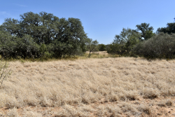 19319 Ranch Road 1871 (34)