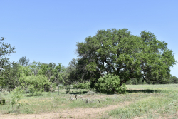 8228 US Hwy 377 (70)
