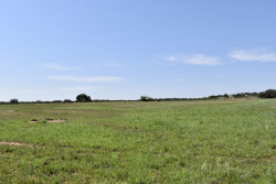 8228 US Hwy 377 (71)