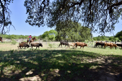 8228 US Hwy 377 (73)
