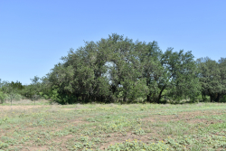 8228 US Hwy 377 (74)