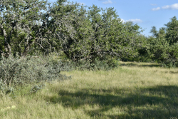 Cave Wells Ranch Tract 1 (6)
