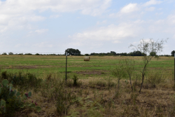 303 County Road 465 (7)