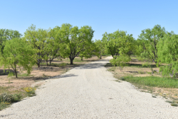 FM 765 (5)