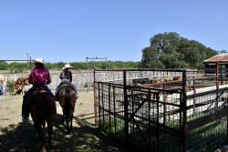 8228 US Hwy 377 (77)