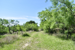 8228 US Hwy 377 (80)
