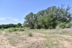8228 US Hwy 377 (81)