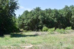 8228 US Hwy 377 (82)
