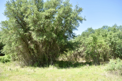8228 US Hwy 377 (84)