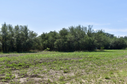 8228 US Hwy 377 (9)