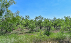 1025 E. FM 765 (24)