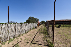 8228 US Hwy 377 (90)
