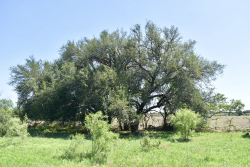 8228 US Hwy 377 (93)